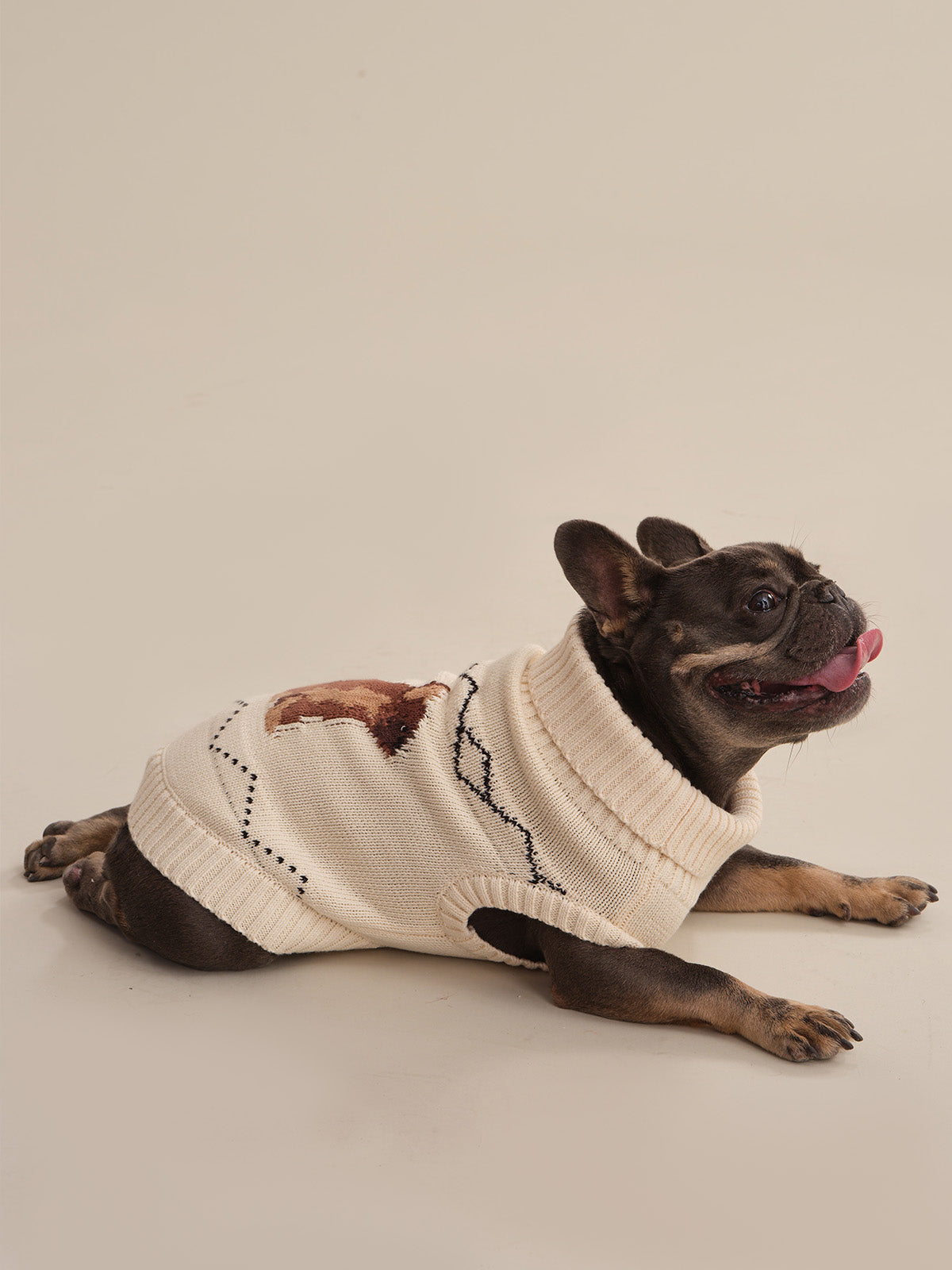 Frenchie Intarsia Cotton Dog Sweater