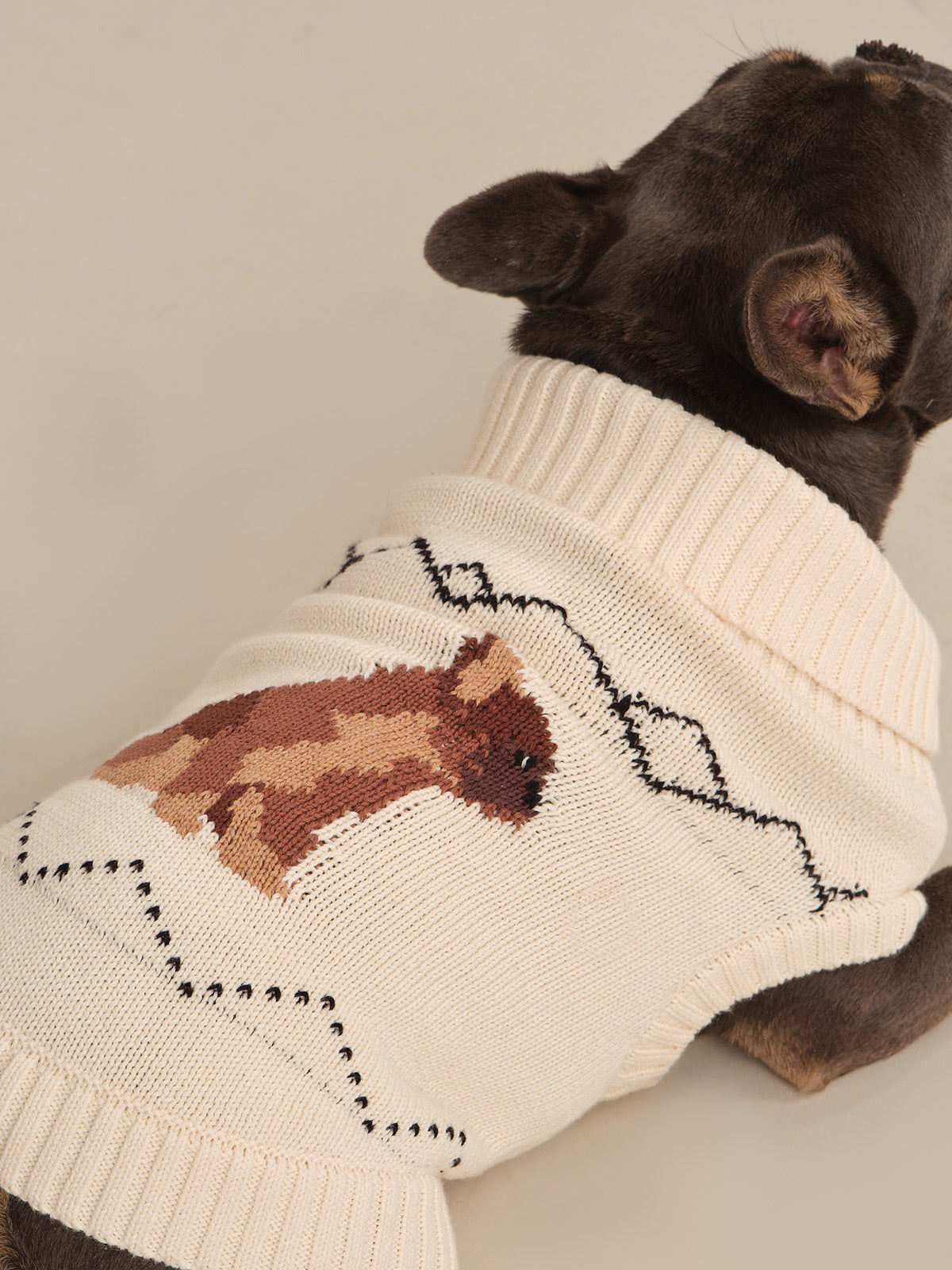 Frenchie Intarsia Cotton Dog Sweater