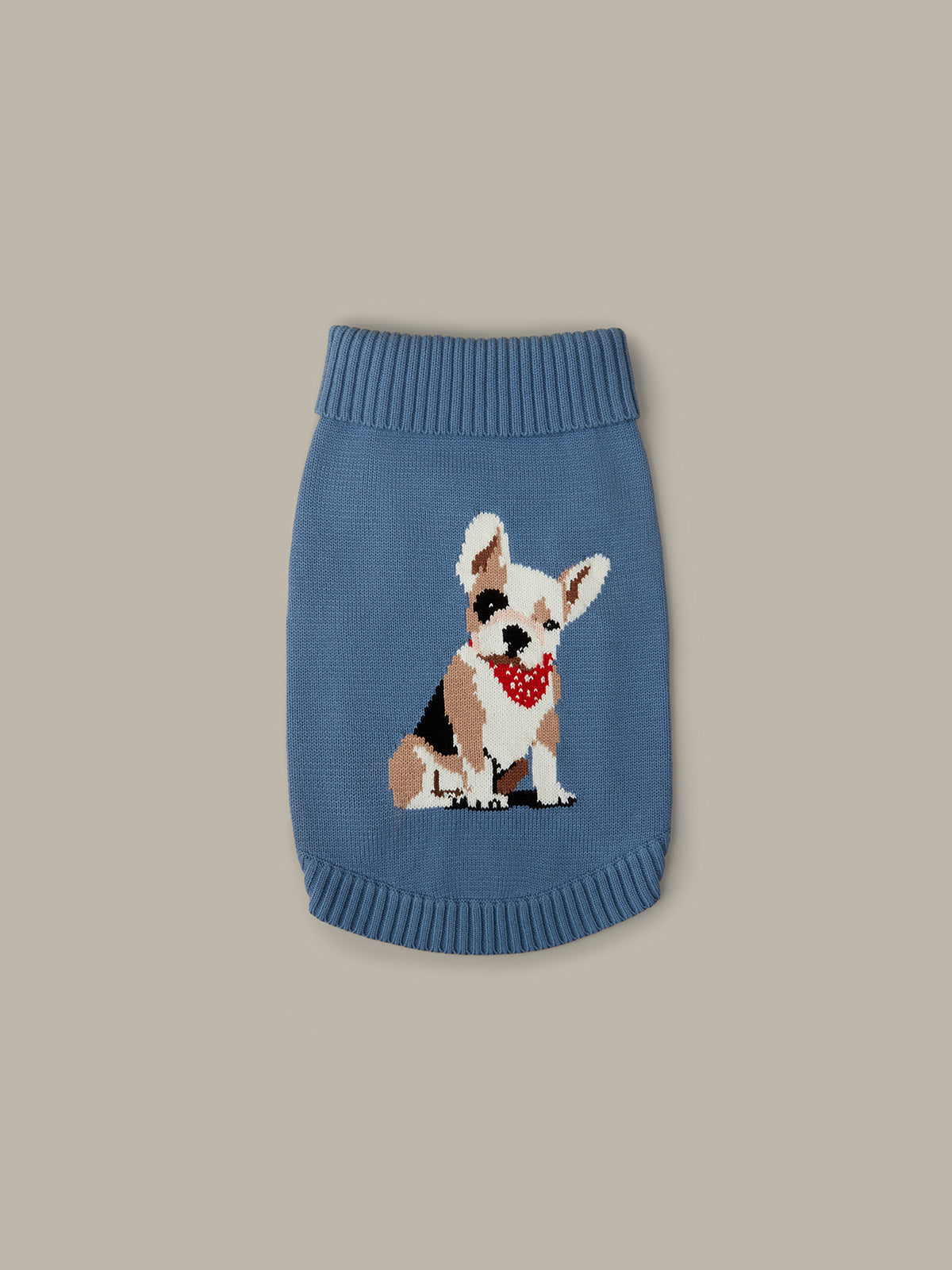 Blue knitted dog sweater with a corgi design on a beige background