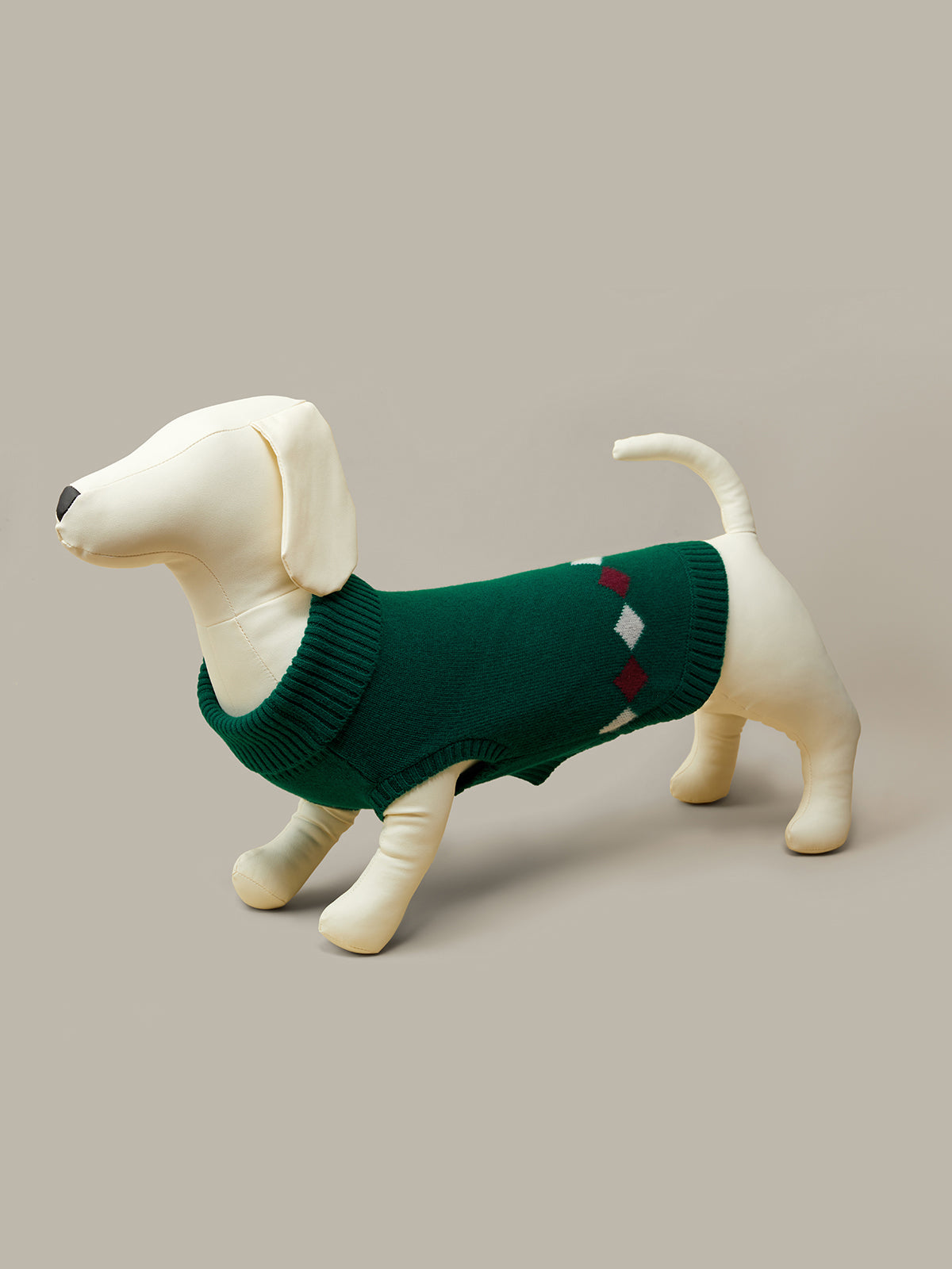 Dog wearing a green sweater on a beige background