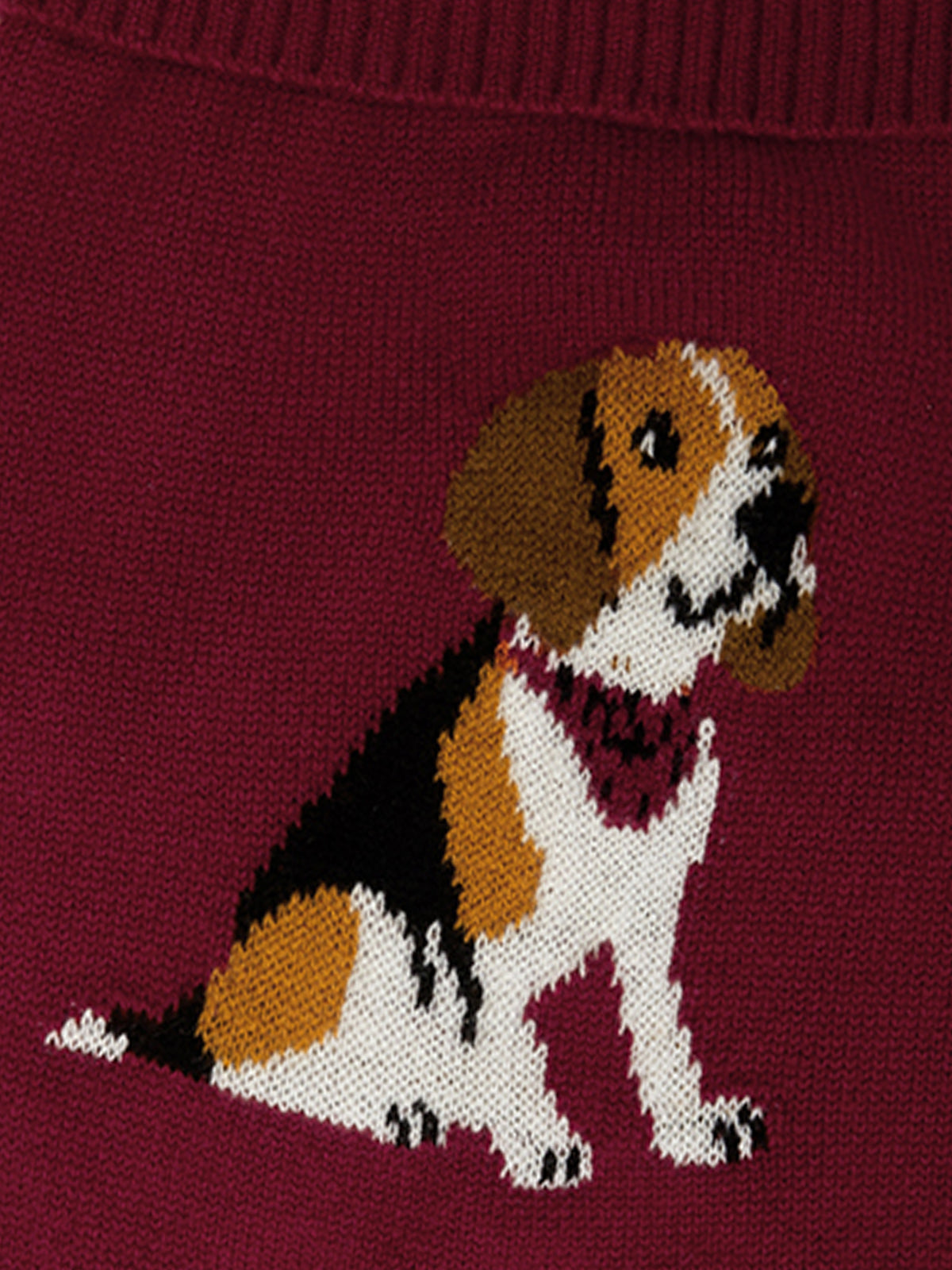 Foxhound 100% Cashmere Dog Sweater