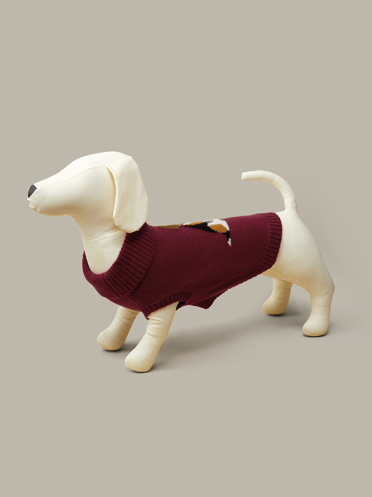 Dog wearing a maroon sweater on a beige background