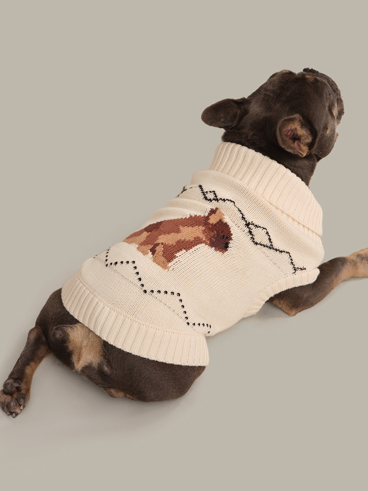 Dog wearing a cream-colored sweater with a bear design on a gray background