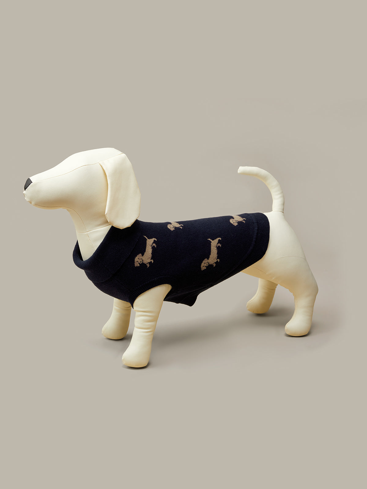 Dog wearing a navy blue sweater with dog patterns on a beige background