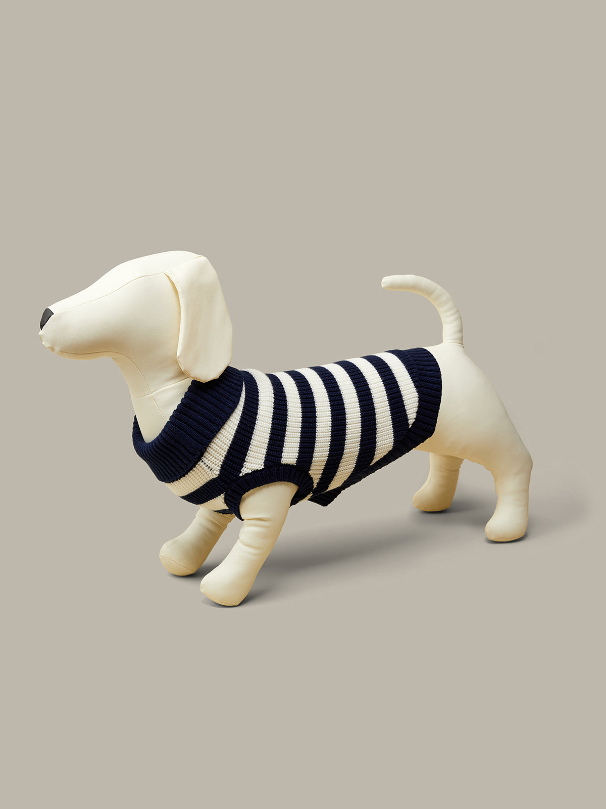 Dog wearing a striped sweater on a beige background