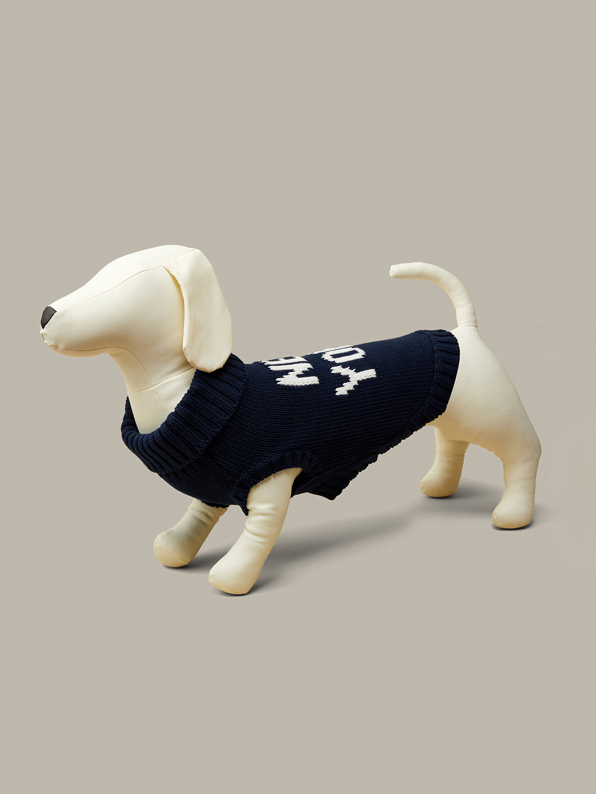 Dog wearing a navy sweater with text on a beige background