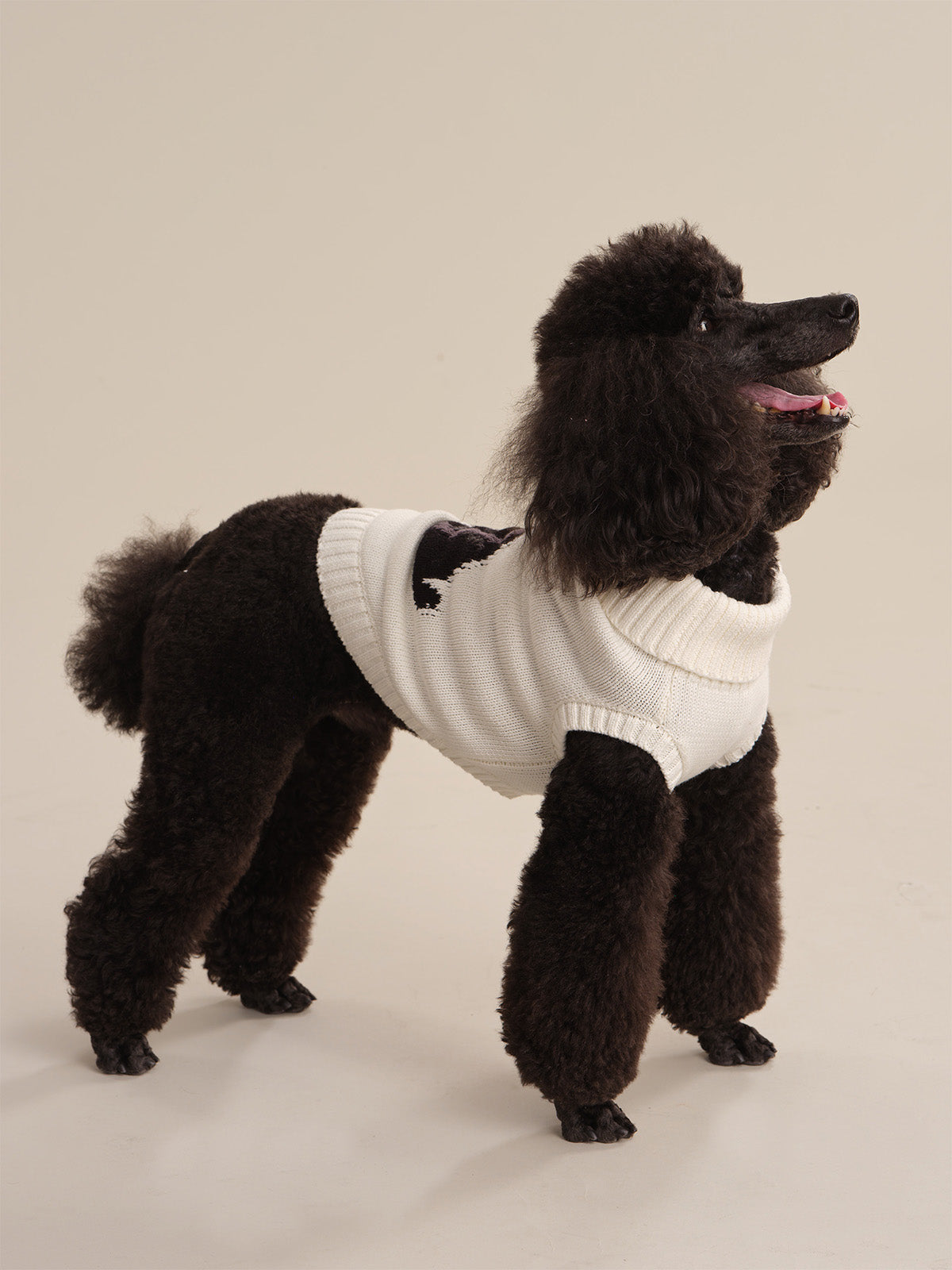 Cotton Poodle Dog Sweater